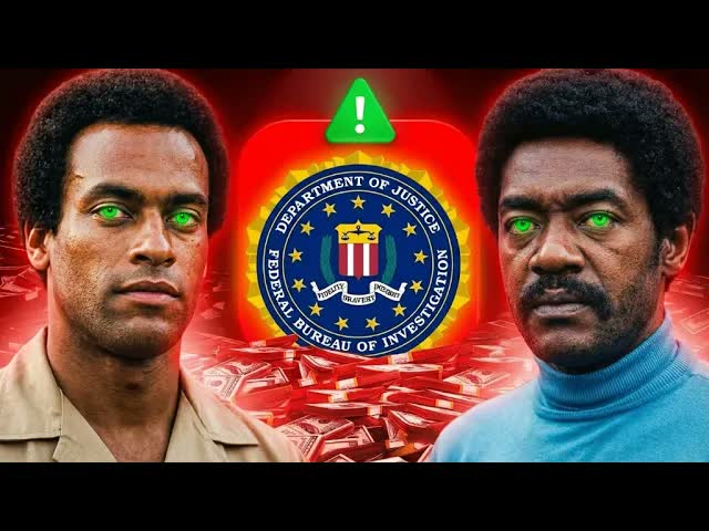 You've Been LIED To About the Black Panthers